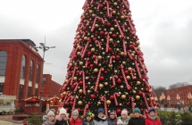DSC00026 (1)